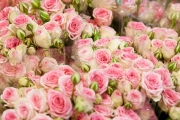 MIN RUNGIS-Fleurs-60